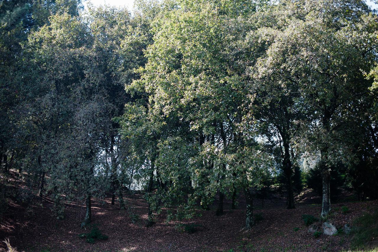 Quinta De Freixieiro Guardizela Exterior photo